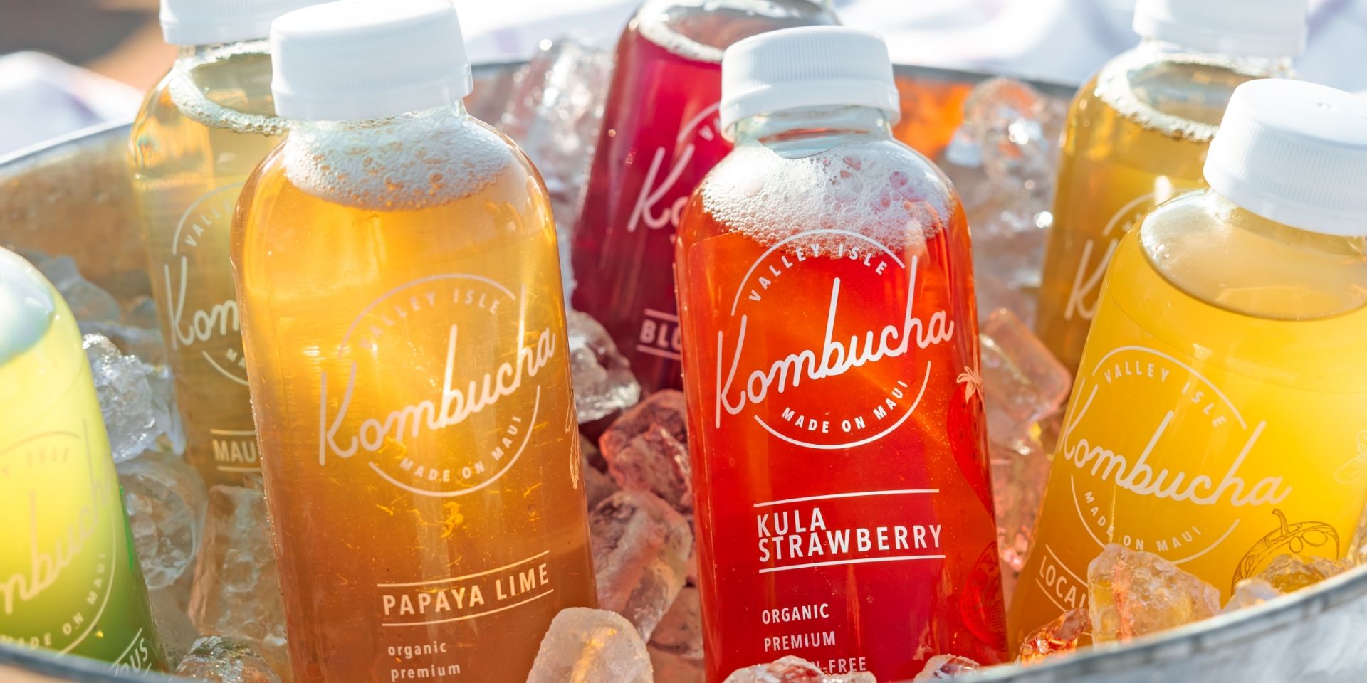 Kombucha