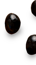 Vacter Image