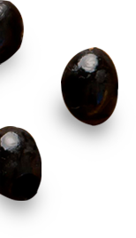 Jamun