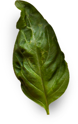 home-leaf